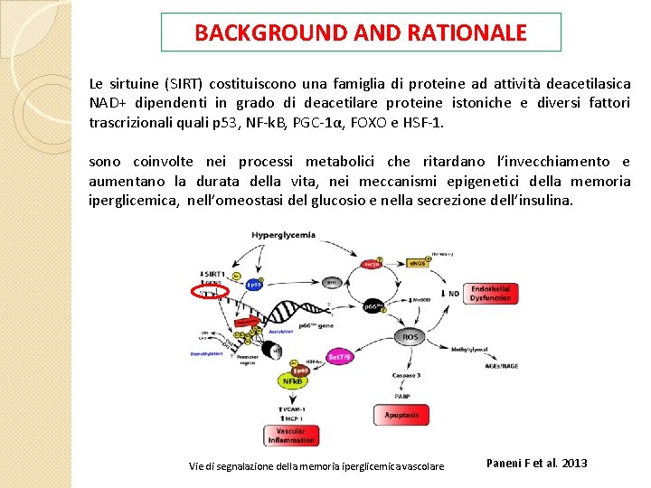 BACKGROUND AND RATIONALE Le sirtuine (SIRT) costituiscono una famiglia di proteine ad attività deacetilasica