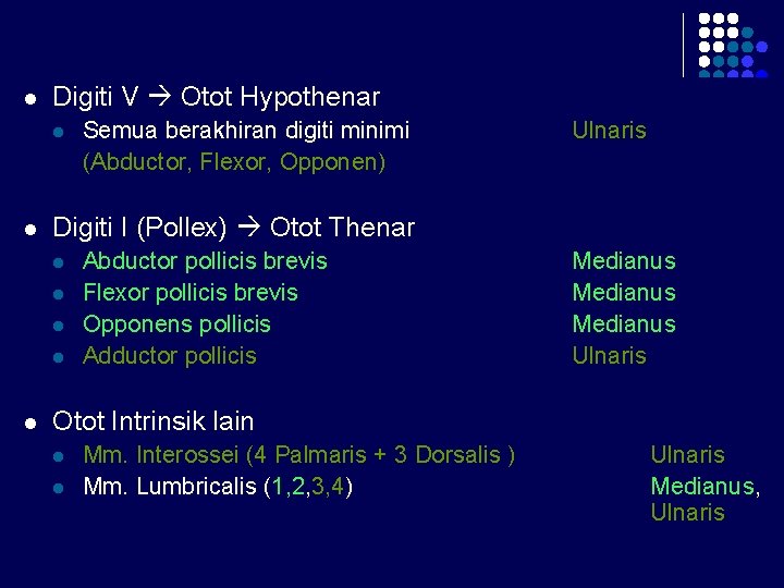 l Digiti V Otot Hypothenar l l Ulnaris Digiti I (Pollex) Otot Thenar l