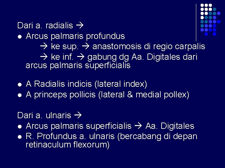 Dari a. radialis l Arcus palmaris profundus ke sup. anastomosis di regio carpalis ke