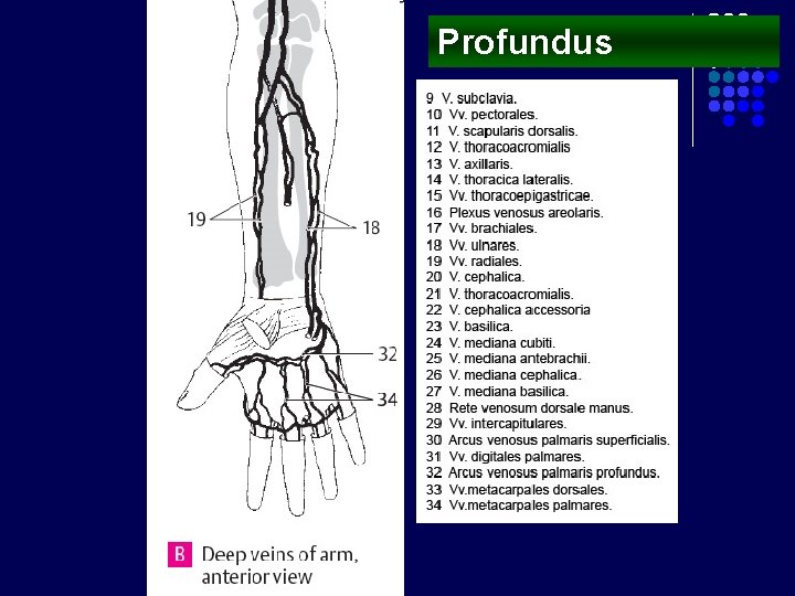 Profundus 