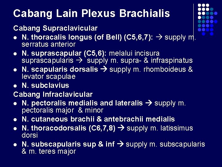 Cabang Lain Plexus Brachialis Cabang Supraclavicular l N. thoracalis longus (of Bell) (C 5,