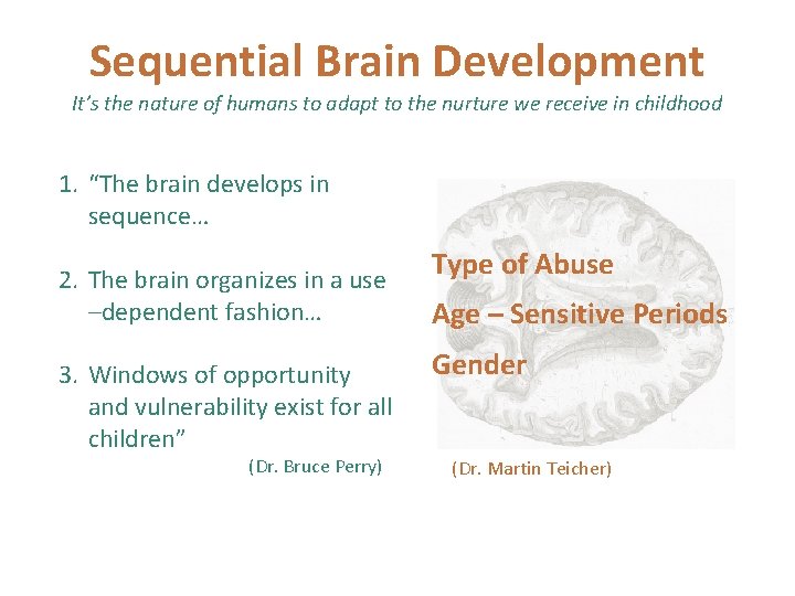 Sequential Brain Development It’s the nature of humans to adapt to the nurture we