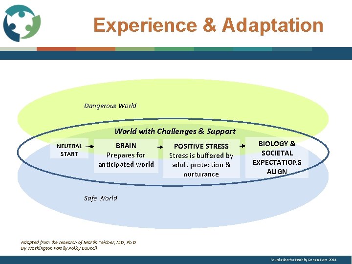 Experience & Adaptation Dangerous World with Challenges & Support NEUTRAL START BRAIN Prepares for