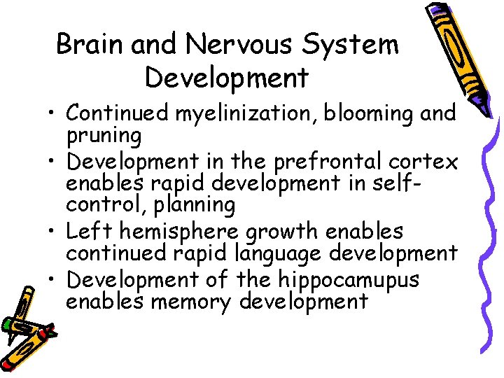 Brain and Nervous System Development • Continued myelinization, blooming and pruning • Development in