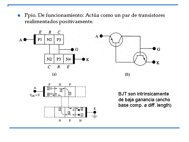 n Ppio. De funcionamiento: Actúa como un par de transistores realimentados positivamente. BJT son