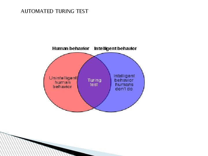 AUTOMATED TURING TEST 
