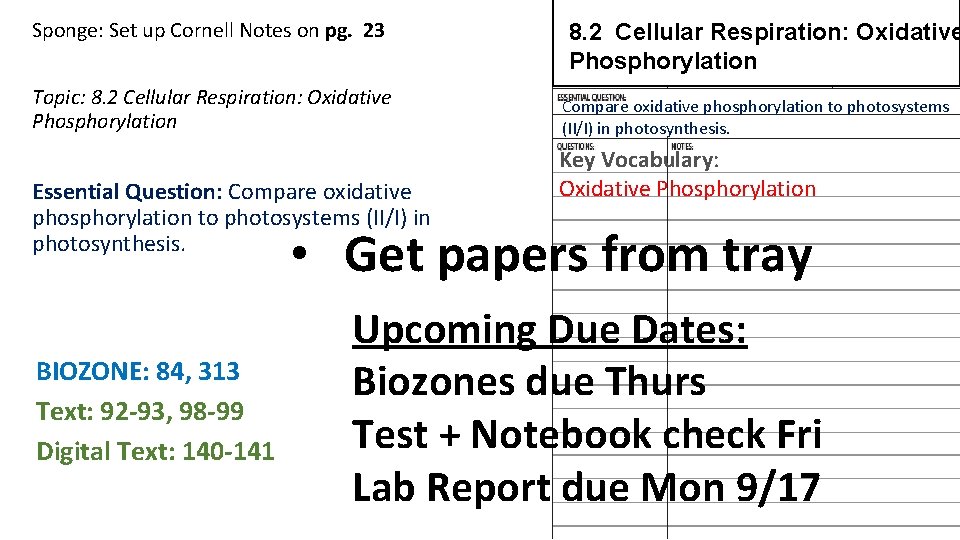 Sponge: Set up Cornell Notes on pg. 23 Topic: 8. 2 Cellular Respiration: Oxidative