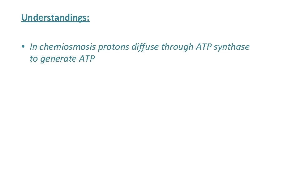 Understandings: • In chemiosmosis protons diffuse through ATP synthase to generate ATP 