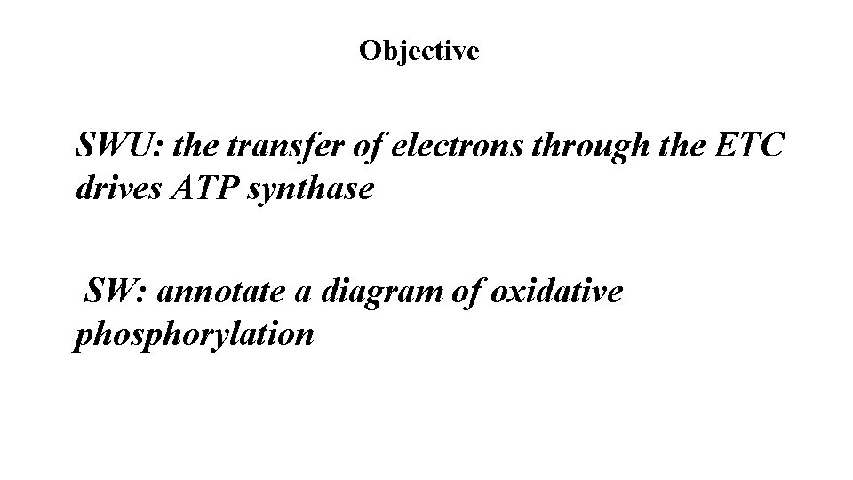 Objective SWU: the transfer of electrons through the ETC drives ATP synthase SW: annotate