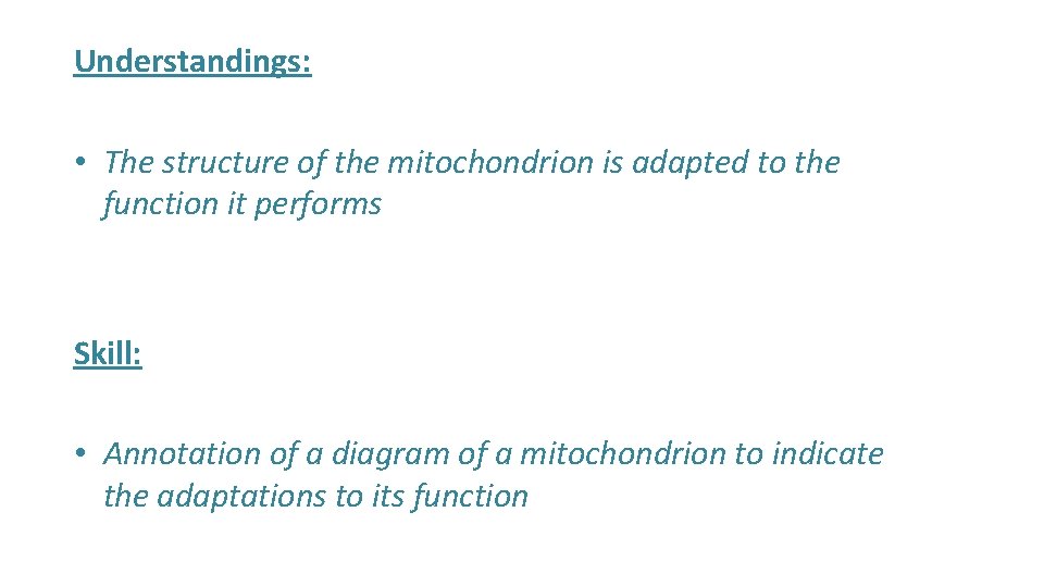 Understandings: • The structure of the mitochondrion is adapted to the function it performs