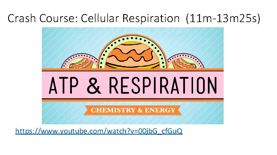 Crash Course: Cellular Respiration (11 m-13 m 25 s) https: //www. youtube. com/watch? v=00