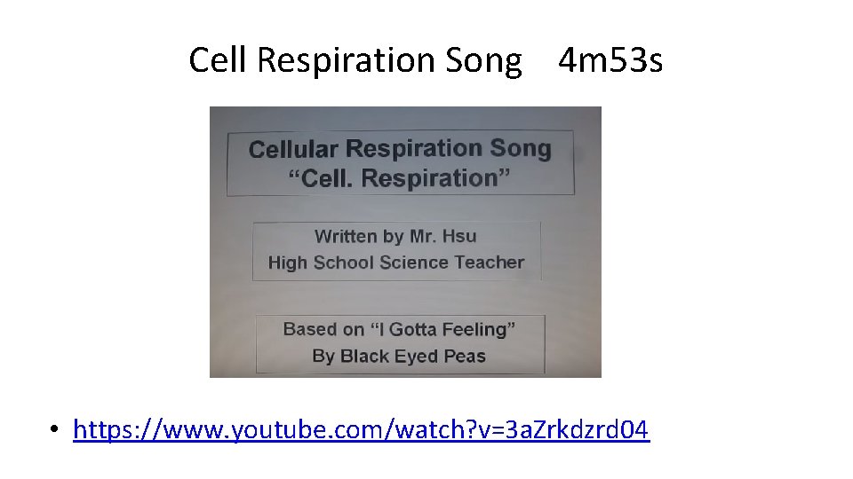 Cell Respiration Song 4 m 53 s • https: //www. youtube. com/watch? v=3 a.
