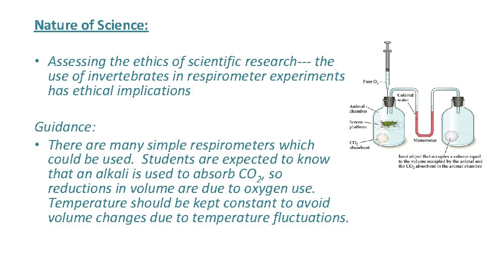 Nature of Science: • Assessing the ethics of scientific research--- the use of invertebrates