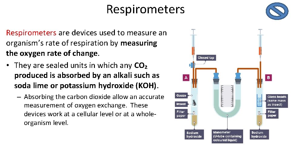 Respirometers are devices used to measure an organism’s rate of respiration by measuring the