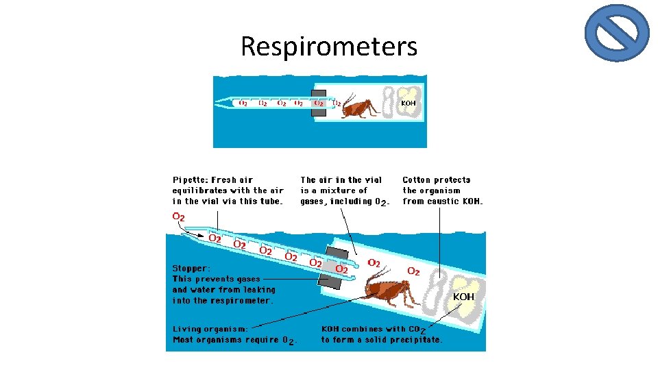 Respirometers 