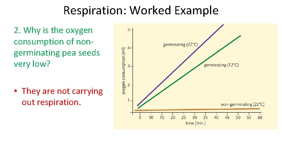 Respiration: Worked Example 2. Why is the oxygen consumption of nongerminating pea seeds very