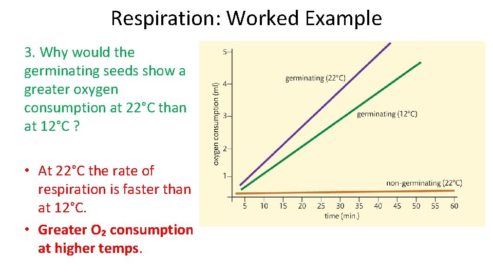 Respiration: Worked Example 3. Why would the germinating seeds show a greater oxygen consumption