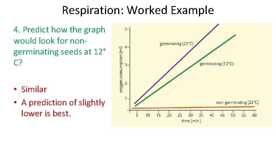 Respiration: Worked Example 4. Predict how the graph would look for nongerminating seeds at