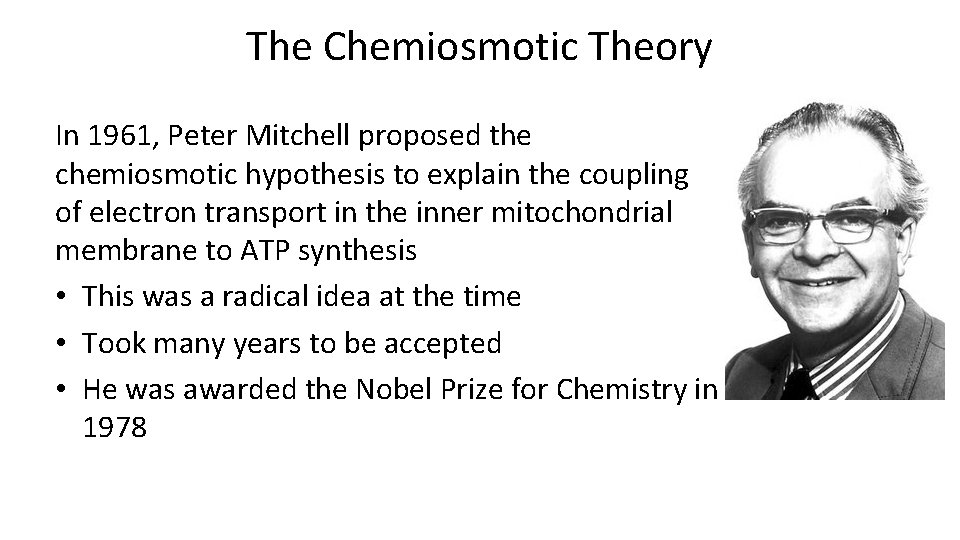 The Chemiosmotic Theory In 1961, Peter Mitchell proposed the chemiosmotic hypothesis to explain the