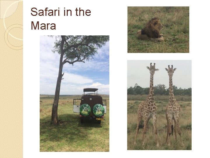 Safari in the Mara 
