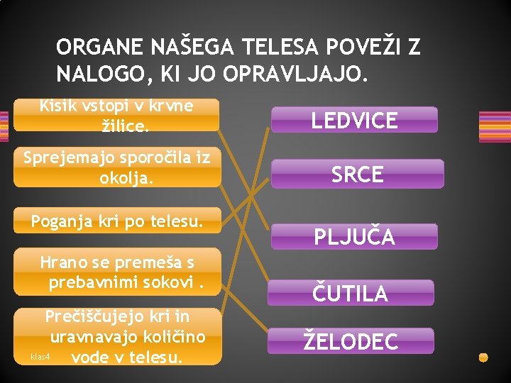 ORGANE NAŠEGA TELESA POVEŽI Z NALOGO, KI JO OPRAVLJAJO. Kisik vstopi v krvne žilice.