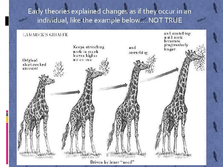 Early theories explained changes as if they occur in an individual, like the example