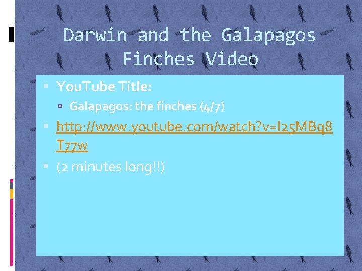 Darwin and the Galapagos Finches Video You. Tube Title: Galapagos: the finches (4/7) http: