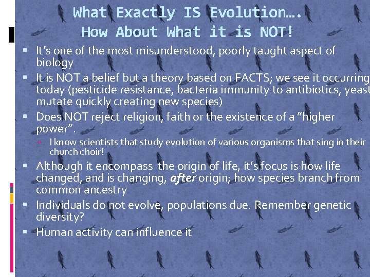 What Exactly IS Evolution…. How About What it is NOT! It’s one of the