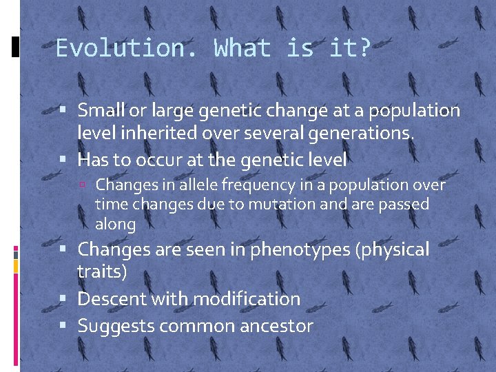 Evolution. What is it? Small or large genetic change at a population level inherited