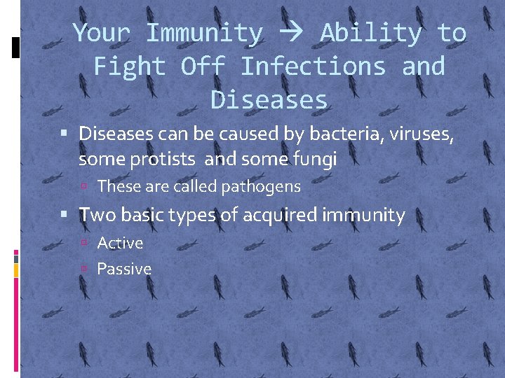 Your Immunity Ability to Fight Off Infections and Diseases can be caused by bacteria,