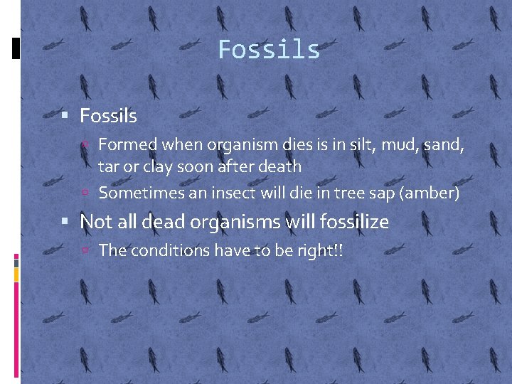 Fossils Formed when organism dies is in silt, mud, sand, tar or clay soon
