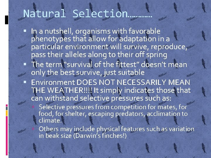 Natural Selection………… In a nutshell, organisms with favorable phenotypes that allow for adaptation in