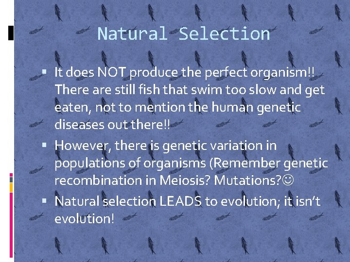 Natural Selection It does NOT produce the perfect organism!! There are still fish that