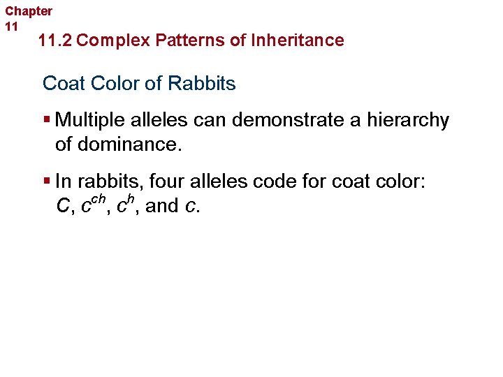 Chapter 11 Complex Inheritance and Human Heredity 11. 2 Complex Patterns of Inheritance Coat