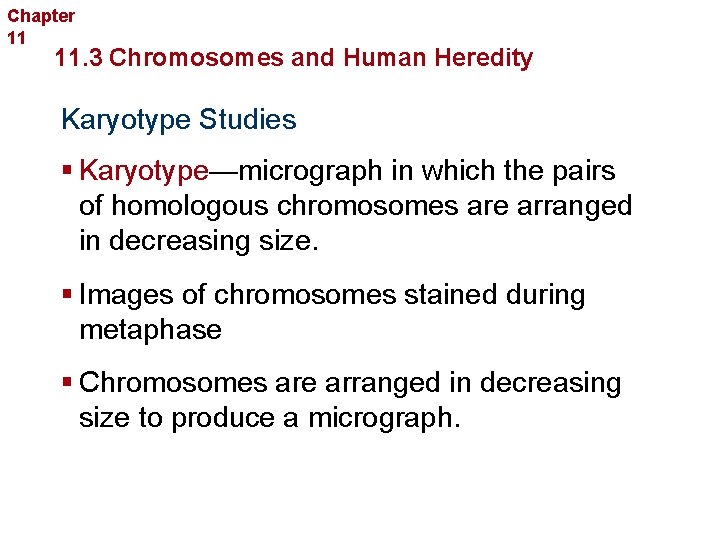 Chapter 11 Complex Inheritance and Human Heredity 11. 3 Chromosomes and Human Heredity Karyotype