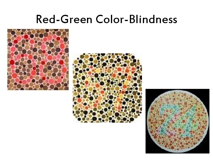 Red-Green Color-Blindness 