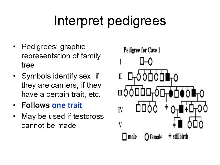 Interpret pedigrees • Pedigrees: graphic representation of family tree • Symbols identify sex, if