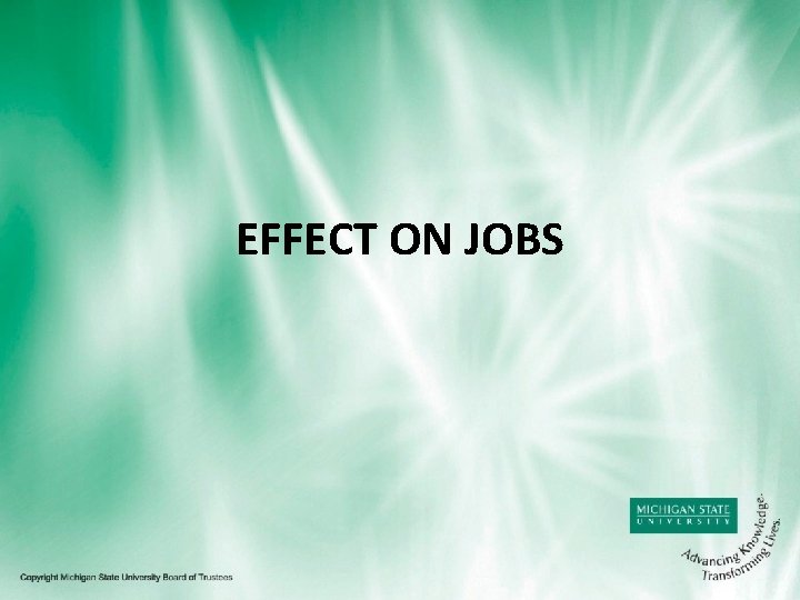 EFFECT ON JOBS 