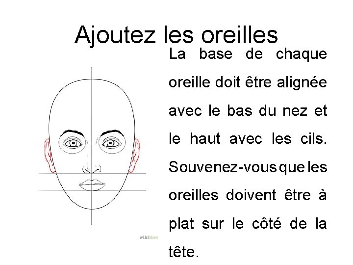 Ajoutez les oreilles La base de chaque oreille doit être alignée avec le bas