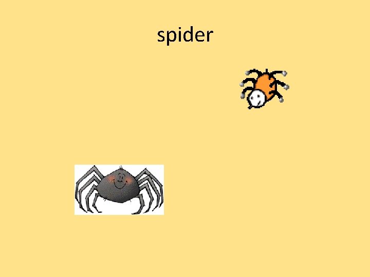 spider 