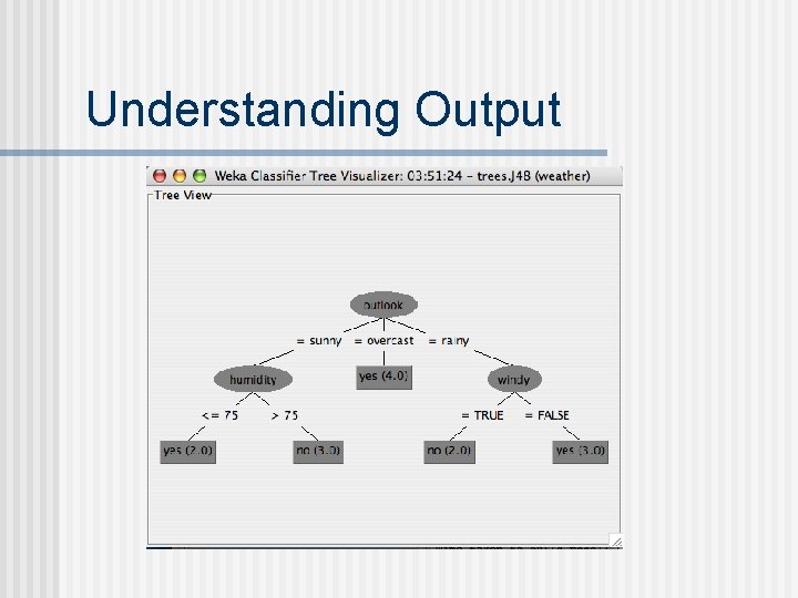 Understanding Output 