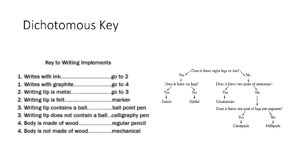 Dichotomous Key 