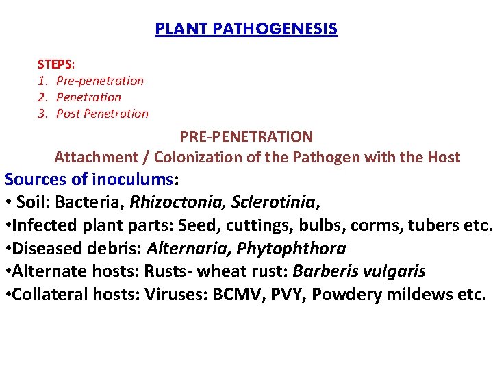PLANT PATHOGENESIS STEPS: 1. Pre-penetration 2. Penetration 3. Post Penetration PRE-PENETRATION Attachment / Colonization