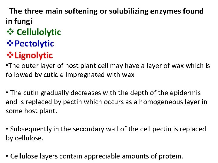 The three main softening or solubilizing enzymes found in fungi v Cellulolytic v. Pectolytic