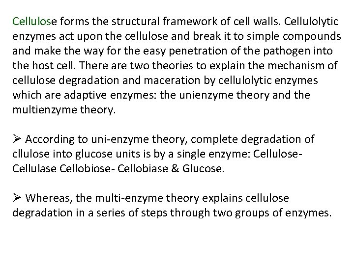 Cellulose forms the structural framework of cell walls. Cellulolytic enzymes act upon the cellulose