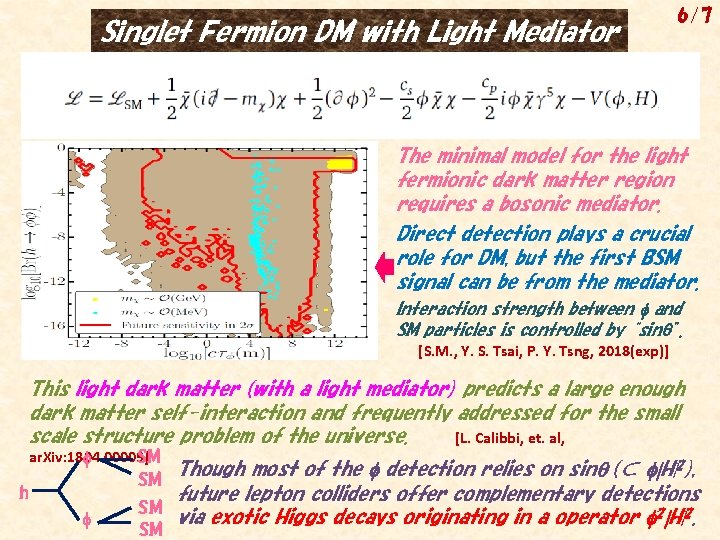 Singlet Fermion DM with Light Mediator 6/7 The minimal model for the light fermionic