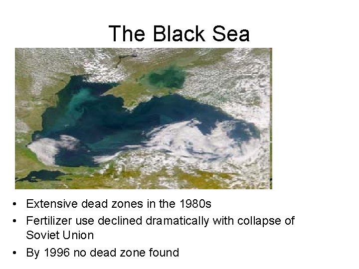 The Black Sea • Extensive dead zones in the 1980 s • Fertilizer use