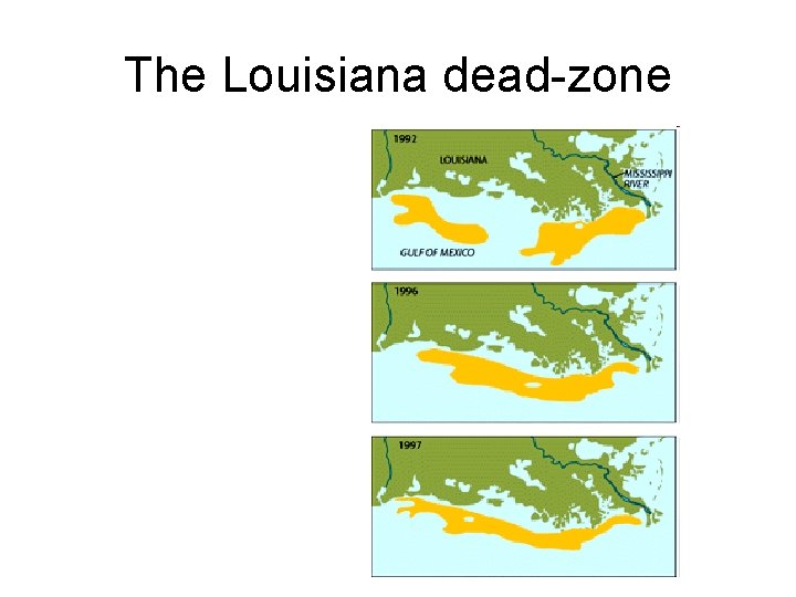 The Louisiana dead-zone 