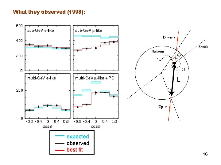 What they observed (1998): expected observed best fit 16 