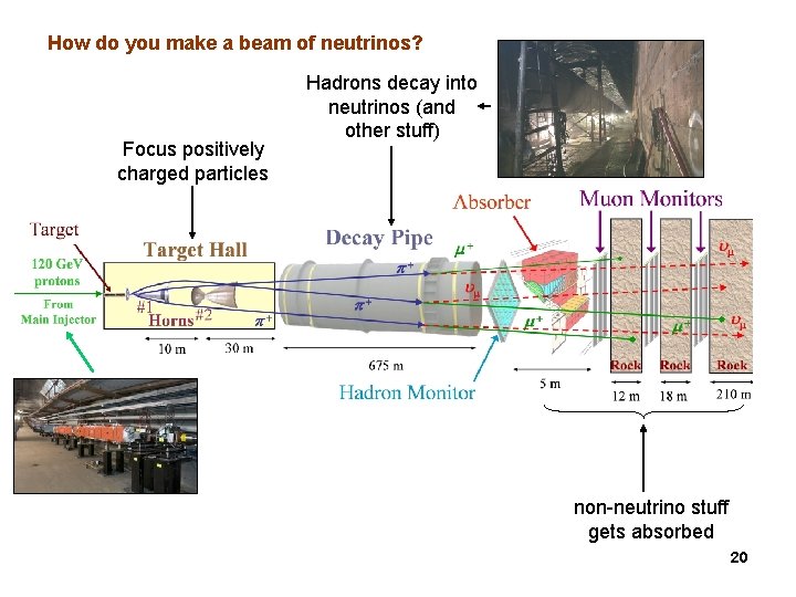 How do you make a beam of neutrinos? Focus positively charged particles Hadrons decay